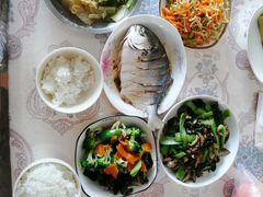 -金贝儿月嫂(高新尚品国际店)