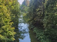 -黄海国家森林公园