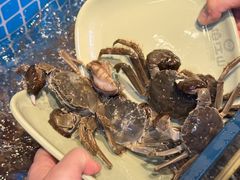 -焰江山海鲜牛排烤肉自助(锦华万达二星店)