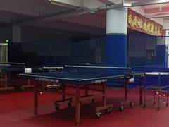 -大凤凰乒乓球馆