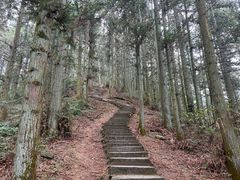 -岣嵝峰国家森林公园