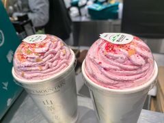 -雾与山茶(大禹城店)