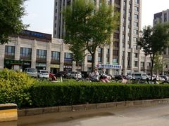 -欧奕国际动物医院