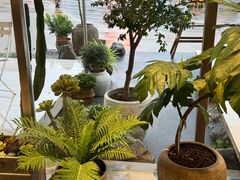 -喜茶(珠海华发商都店)
