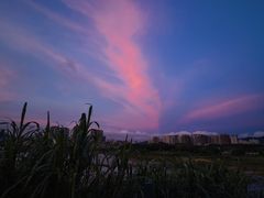 -立新湖公园