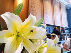 -THE WOODS 简餐 (国贸商城店)