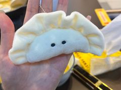 -袁记云饺的猜想(东方宝泰首店)