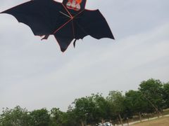 -汉长安城未央宫国家考古遗址公园