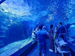 -江和美海洋公园