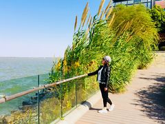 -上海滴水湖皇冠假日酒店