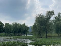 -长广溪湿地公园