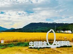 -风云岭森林公园