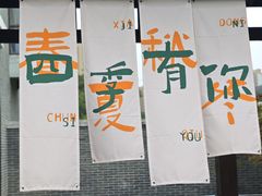 -菊园百果园