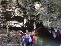 -怀托摩萤火虫洞