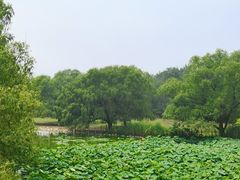 -北京麋鹿生态实验中心