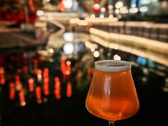 -TOKTOK精酿啤酒·咖啡(荔枝湾店)