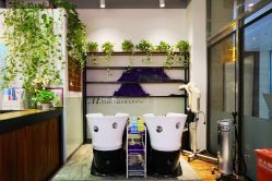 大厅-涩谷イメジSalon烫染専門店