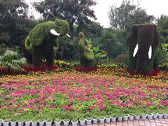 -石家庄市动物园