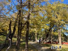 -阳台山自然风景区