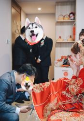 -曼格纳婚礼艺术中心(张江店)