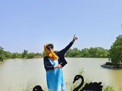 -盐城丹顶鹤湿地生态旅游区