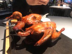 -大鸽饭(体育西路店)
