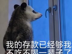 -青岛胶东国际机场