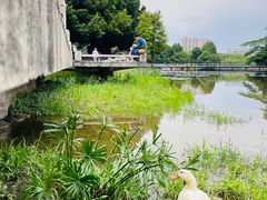 -东山湖公园