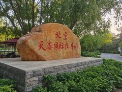 -太阳宫公园
