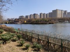 -西安汉城湖景区