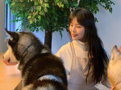 -Husky Go! 哈士奇体验馆·宠物咖啡厅狗咖