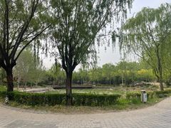 -北坞公园