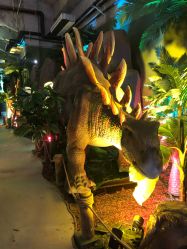 -恐龙探索乐园(磁器口店)