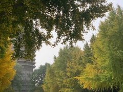 -玲珑塔公园
