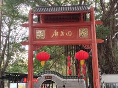 -侨美·唐荔园·40年地道粤菜