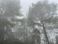 -綦江古剑山