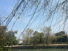 -佘山世茂艾美·御珍轩中餐厅