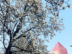 -西安创业咖啡街区