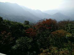 -广州市石门国家森林公园