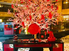 -北京首都机场希尔顿酒店
