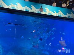 -烟台海昌鲸鲨海洋公园