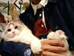 -喵屋coffee