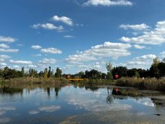 -白鹭湾湿地公园