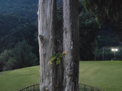 -灵光寺