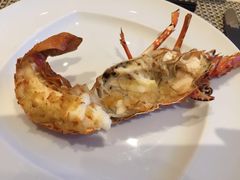 picture-粤海喜来登酒店·盛宴海鲜牛排自助餐厅(天河城店)
