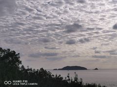 -珞珈山-售票处