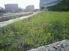 android_upload_pic-辽宁大学(崇山校区)