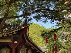 -顺峰山公园