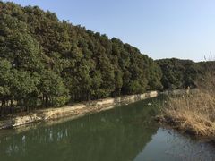 -同里国家湿地公园
