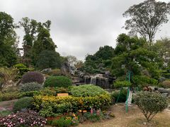 -东莞植物园